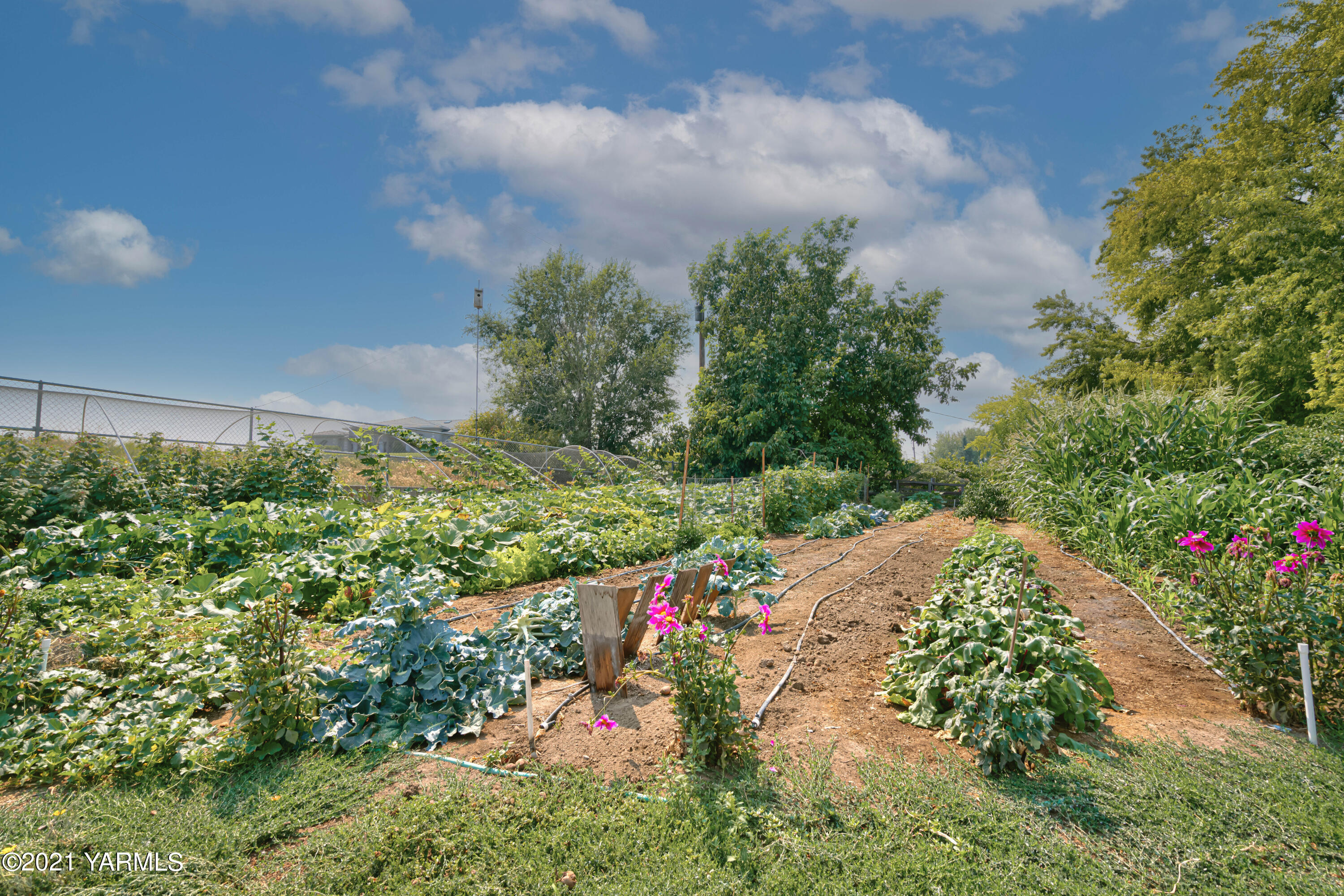 10906 Zier Road Yakima, WA 98908 - Photo 33 of 43 a view of a pathway with flower plants
