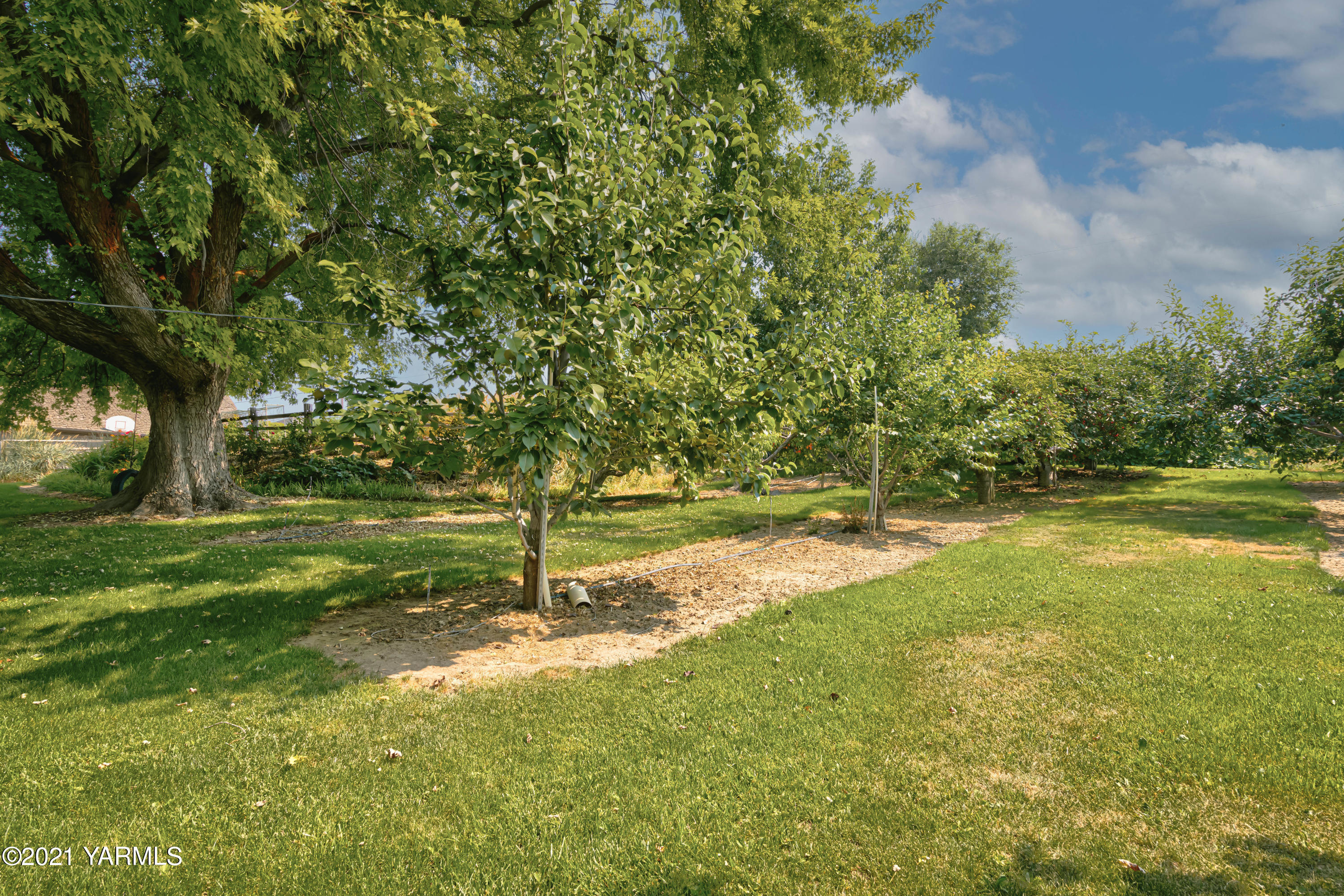 10906 Zier Road Yakima, WA 98908 - Photo 35 of 43 a view of a yard with swimming pool