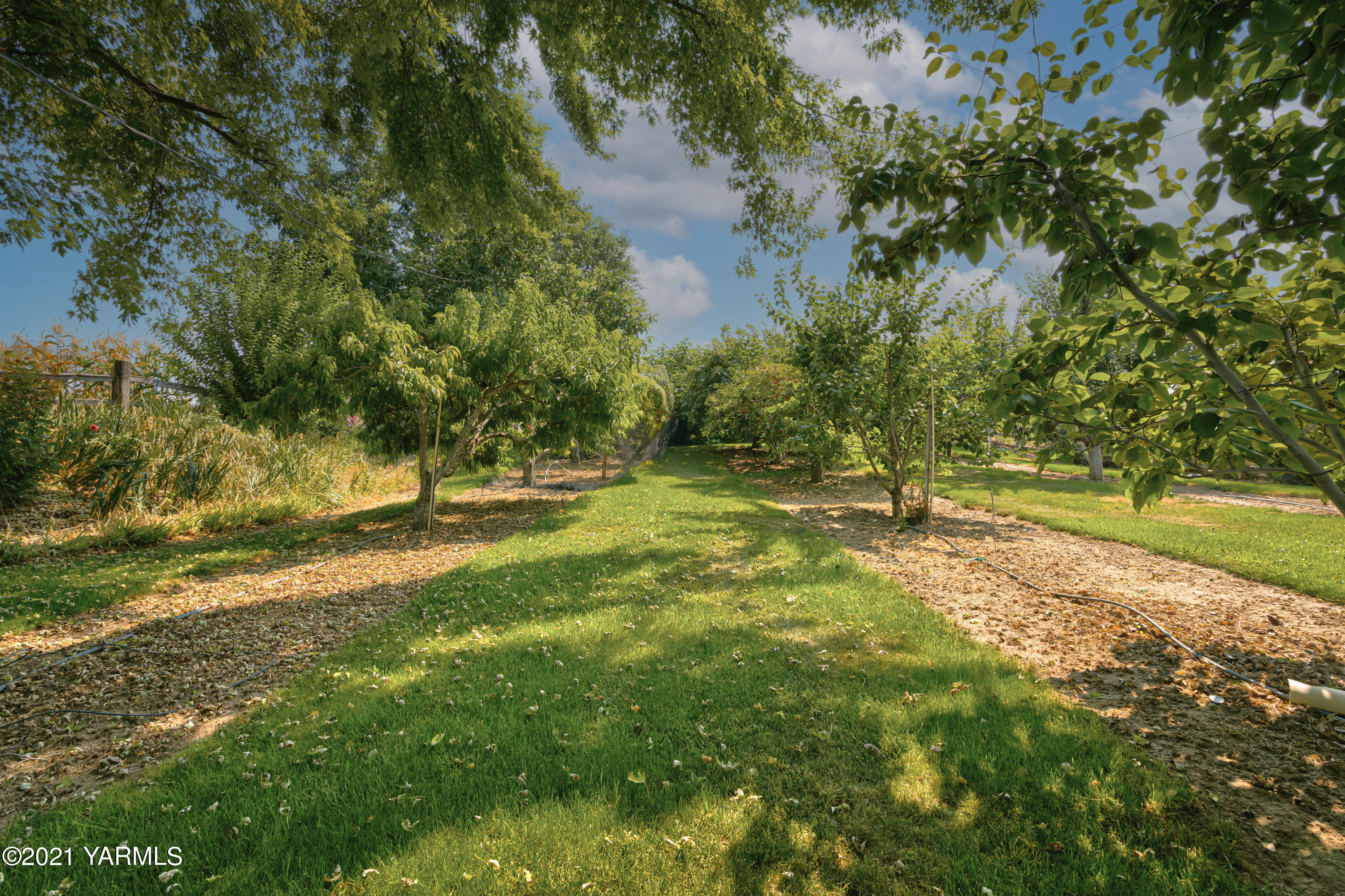 10906 Zier Road Yakima, WA 98908 - Photo 36 of 43 a view of yard with green space