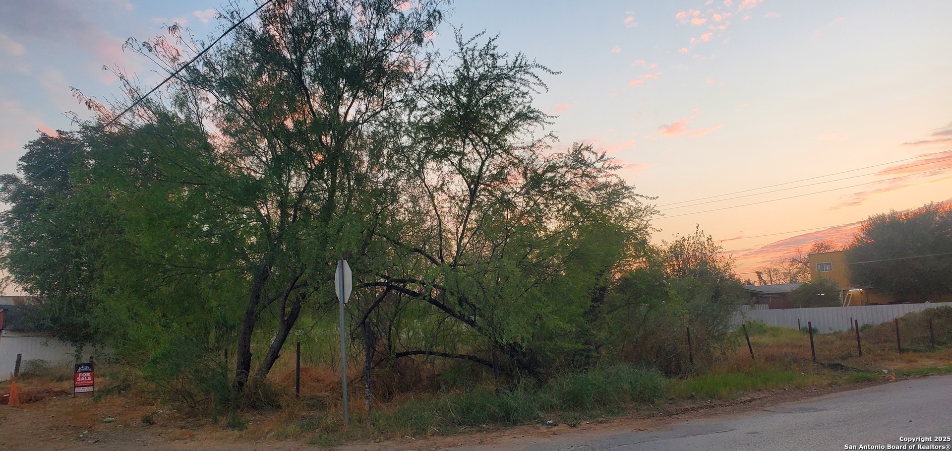 403 South Front Street Cotulla, TX 78014 - Photo 2 of 4 a view of a park with large trees