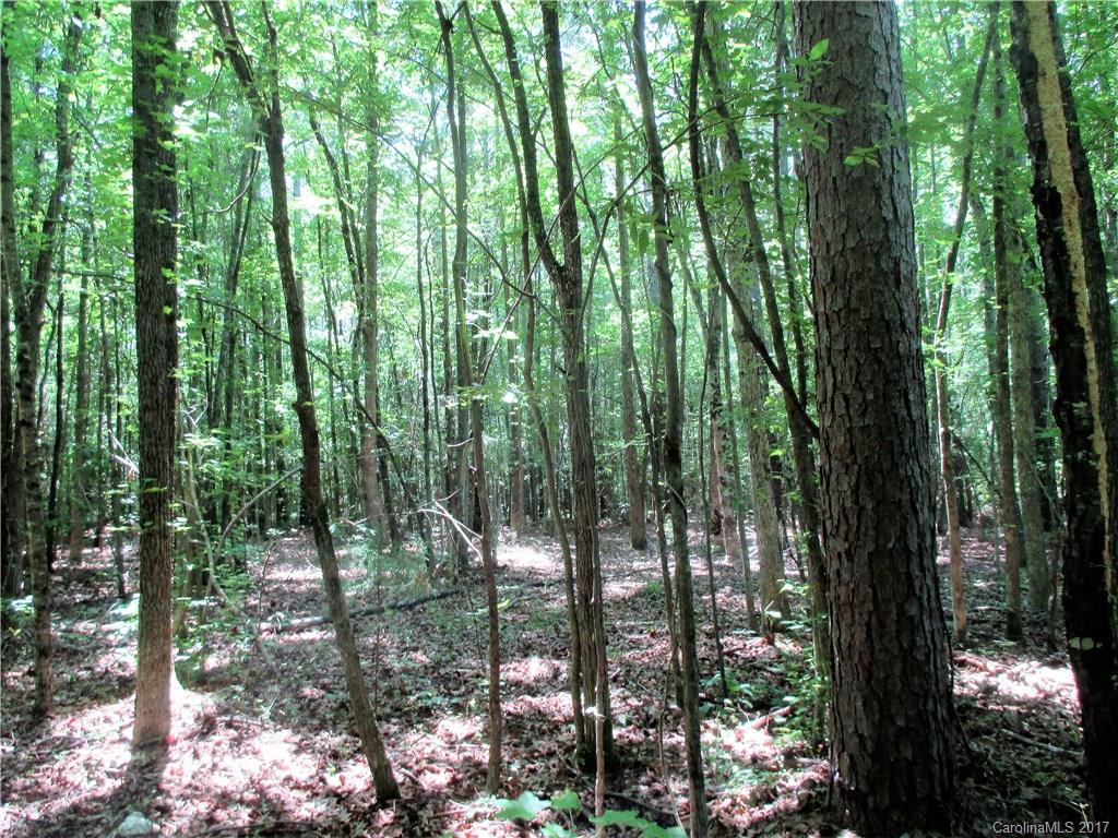 1640 Logan Terry Road, Unit 1 Lancaster, SC 29720 - Photo 11 of 24 a view of forest