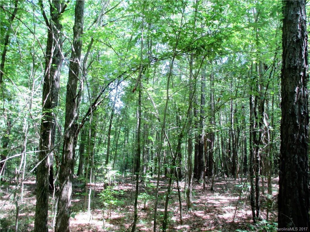 1640 Logan Terry Road, Unit 1 Lancaster, SC 29720 - Photo 12 of 24