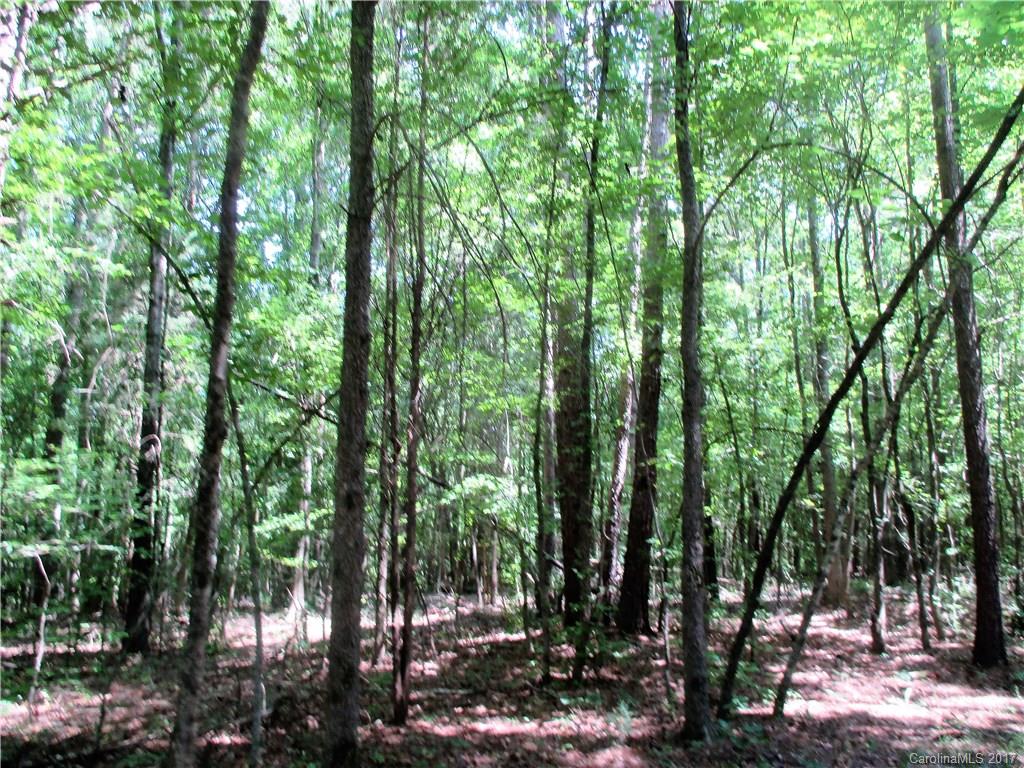 1640 Logan Terry Road, Unit 1 Lancaster, SC 29720 - Photo 13 of 24 a view of forest