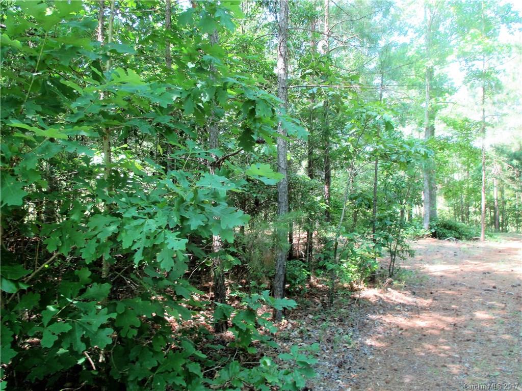 1640 Logan Terry Road, Unit 1 Lancaster, SC 29720 - Photo 21 of 24 a view of a yard with plants and a tree
