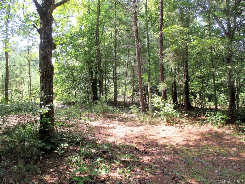 1640 Logan Terry Road, Unit 1 Lancaster, SC 29720 - Photo 23 of 24 a view of outdoor space and trees