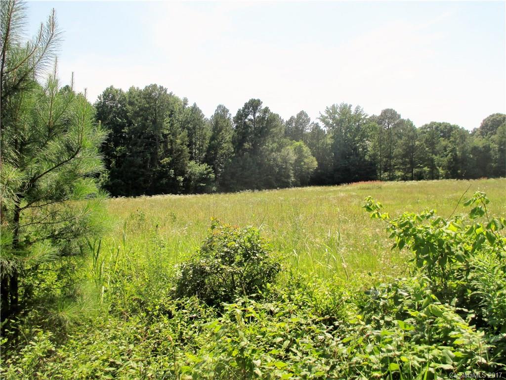 1640 Logan Terry Road, Unit 1 Lancaster, SC 29720 - Photo 24 of 24 a view of yard with large trees