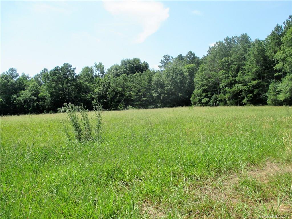 1640 Logan Terry Road, Unit 1 Lancaster, SC 29720 - Photo 4 of 24 a view of a grassy field with trees in the background