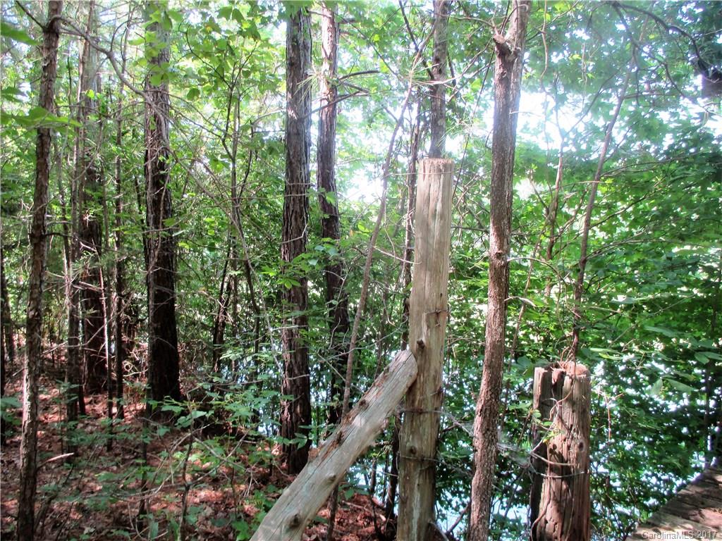 1640 Logan Terry Road, Unit 1 Lancaster, SC 29720 - Photo 7 of 24 a picture of trees