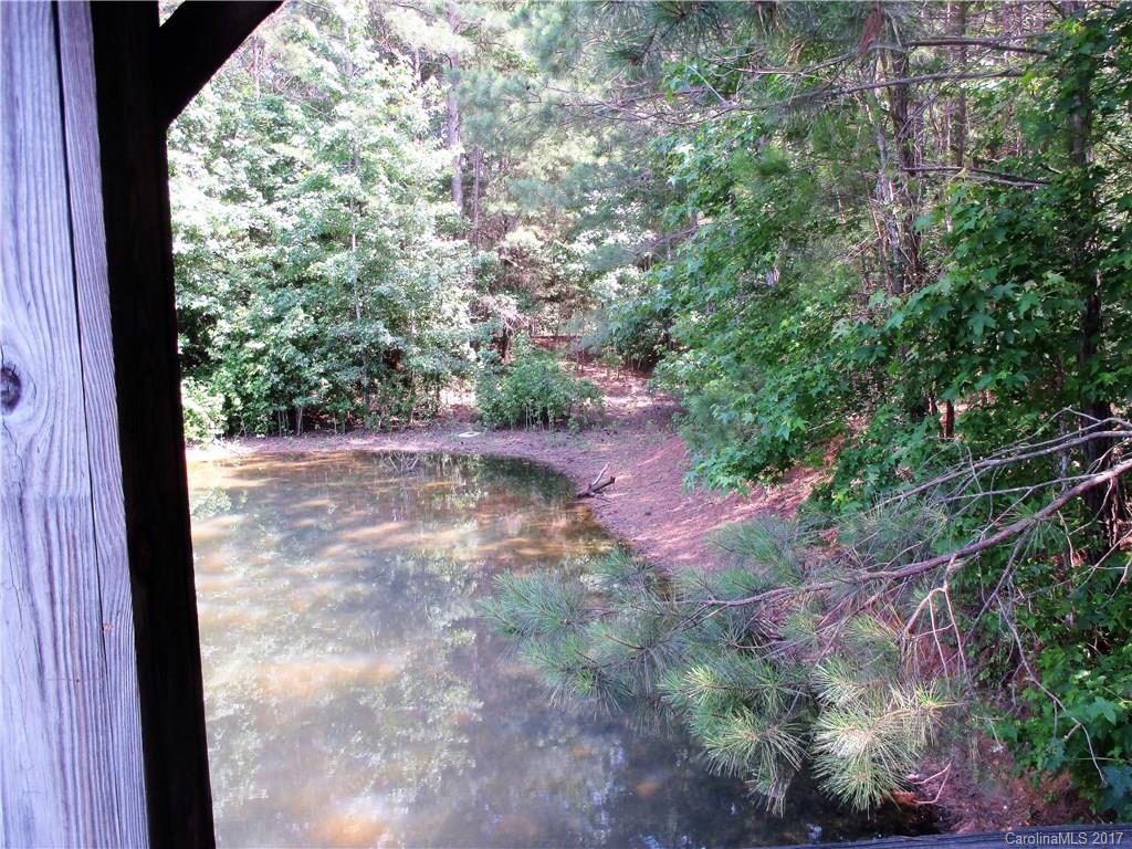 1640 Logan Terry Road, Unit 1 Lancaster, SC 29720 - Photo 9 of 24 a view of a yard with plants and large trees
