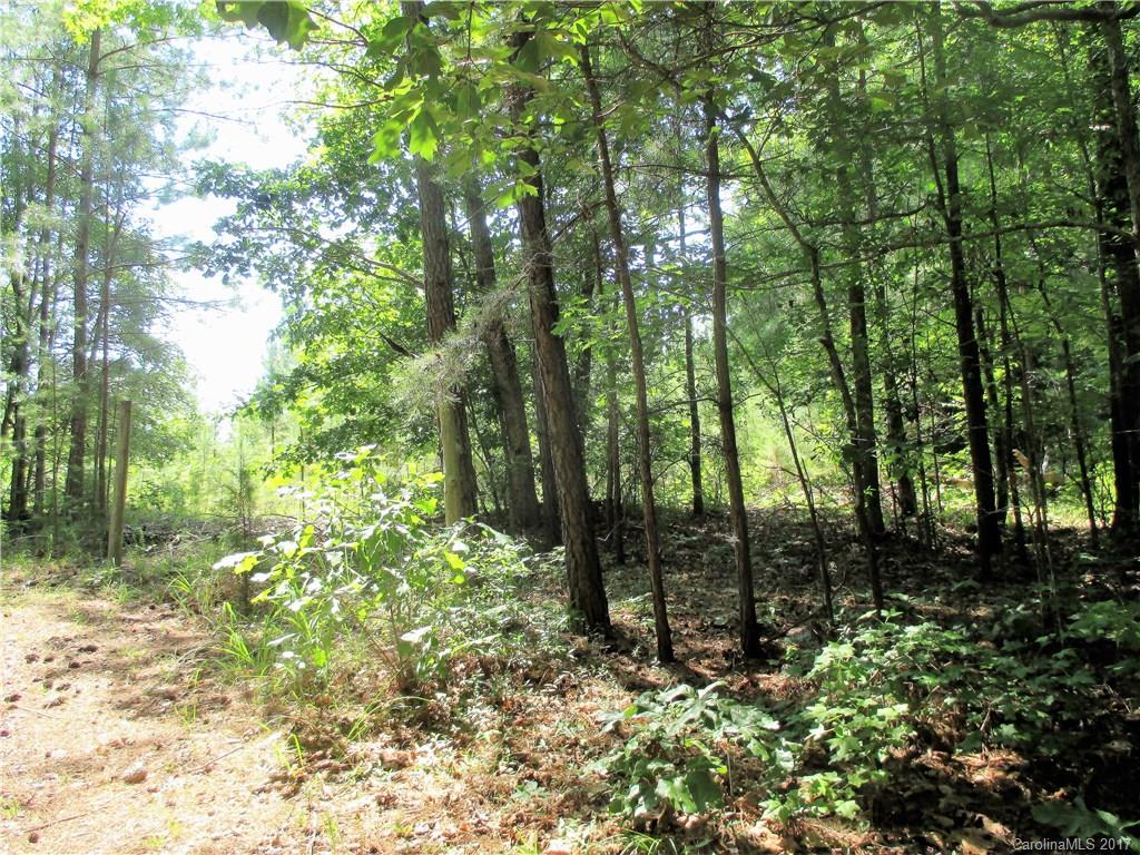1640 Logan Terry Road, Unit 1 Lancaster, SC 29720 - Photo 10 of 24 a backyard of a house with lots of green space