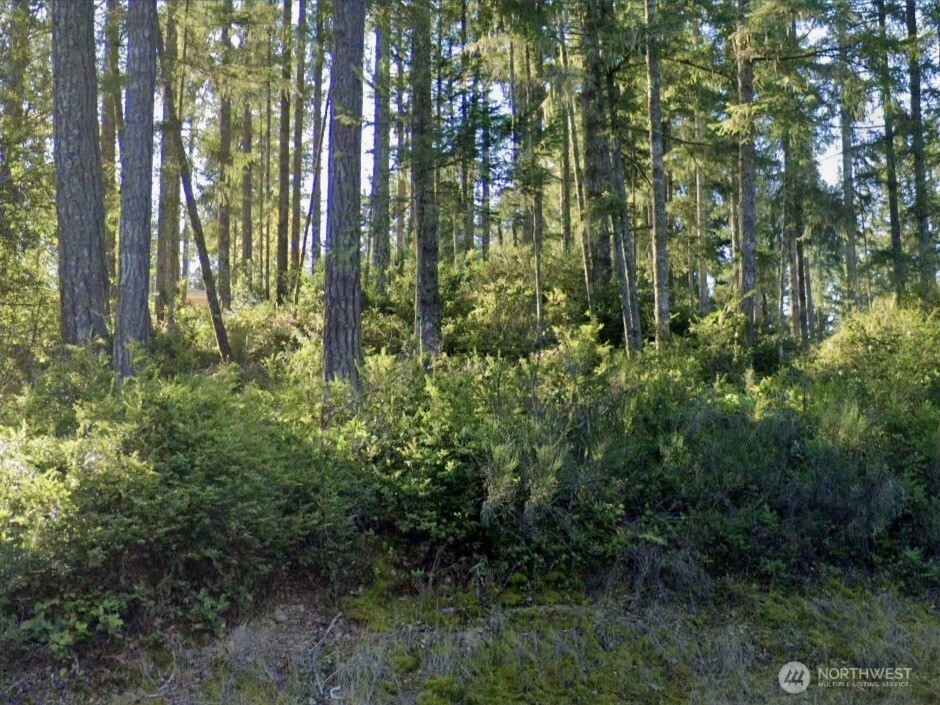 5011 East Rasor Road Belfair, WA 98528 - Photo 3 of 31 Gallery Image 3