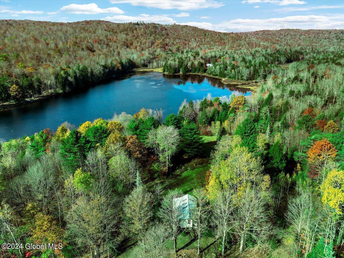 142 Newkirk Road Johnstown, NY 12095 - Photo 3 of 27 26-DJI_0758