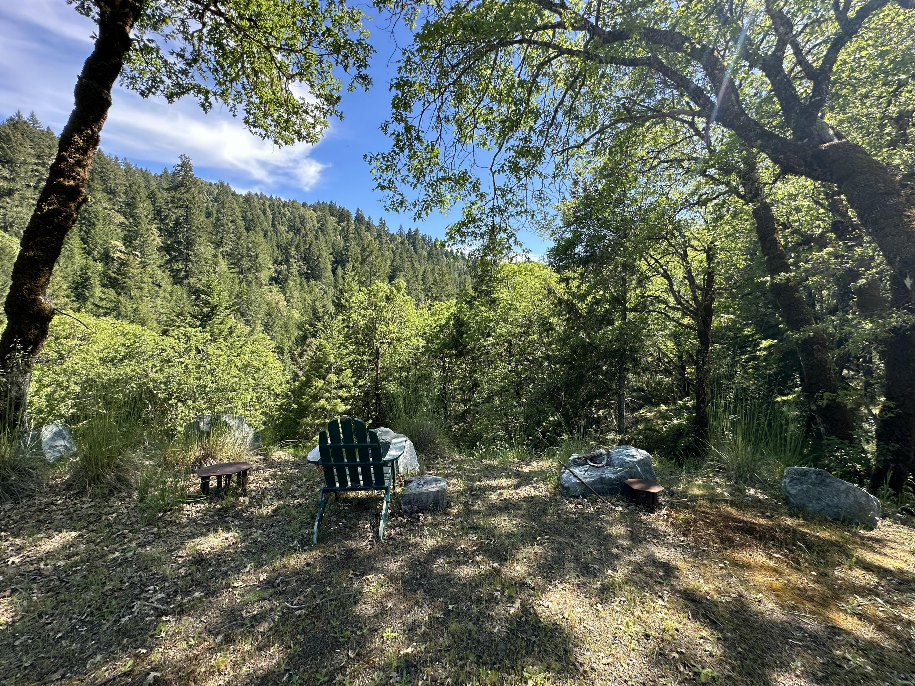 83000 Milstead Road Garberville, CA 95542 - Photo 55 of 67 a view of a forest