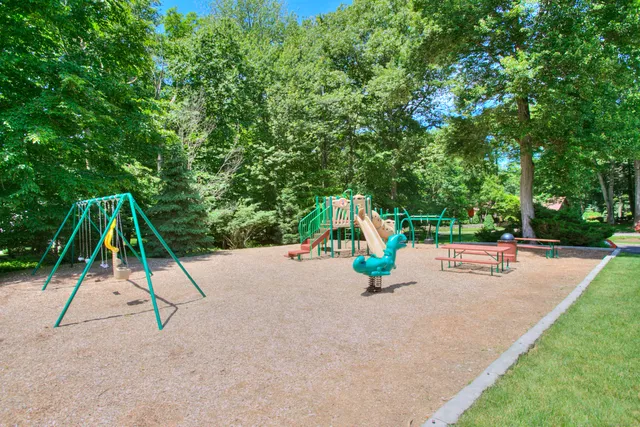 a view of park with slide