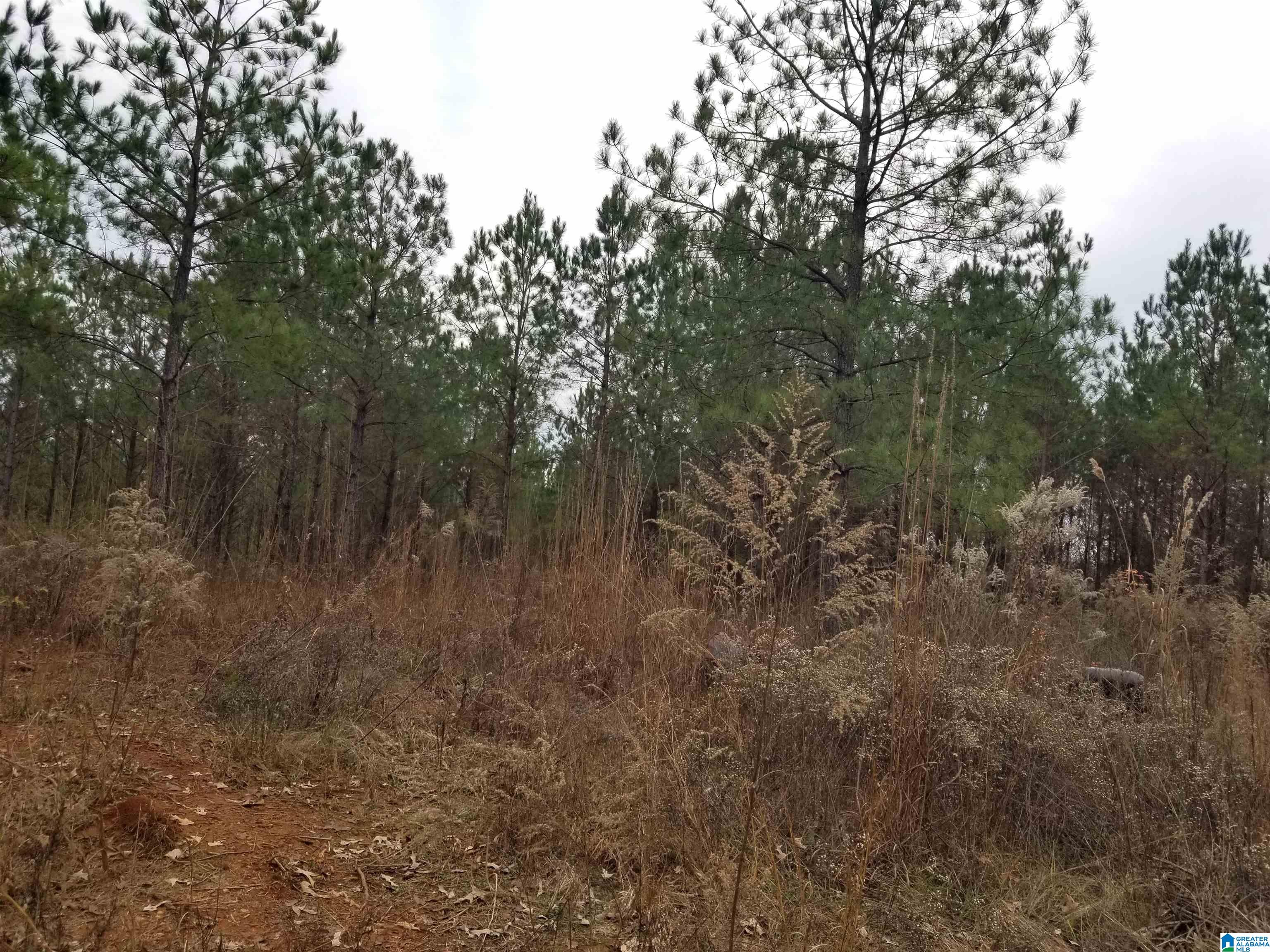 5575 Glovers Ferry Road, Unit 1215 Alpine, AL 35014 - Photo 1 of 11 Gallery Image 1