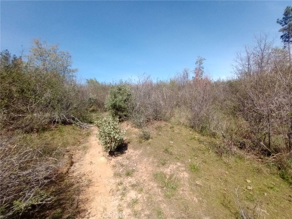 3515 Hoffman Road Oroville, CA 95965 - Photo 16 of 30