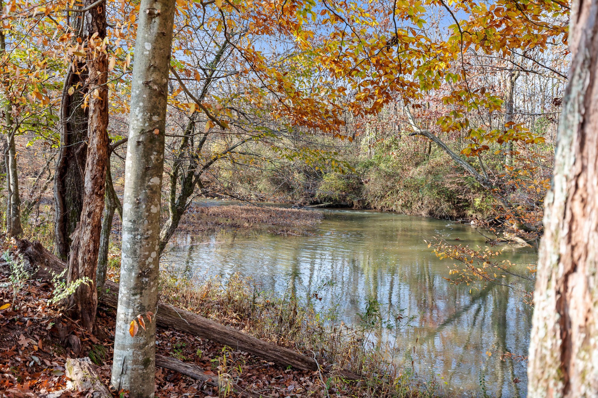 588 Piney Road Trenton, GA 30752 - Photo 28 of 35 Gallery Image 28