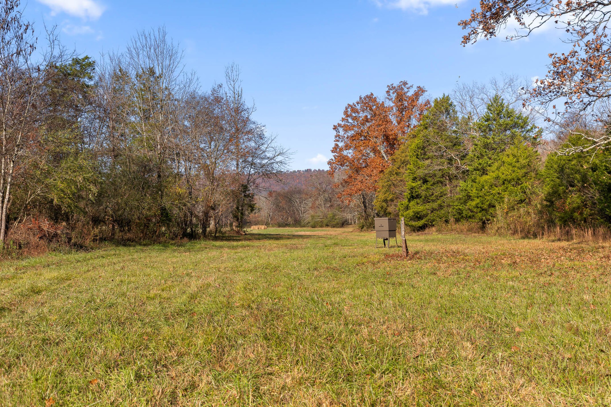 588 Piney Road Trenton, GA 30752 - Photo 32 of 35 Gallery Image 32
