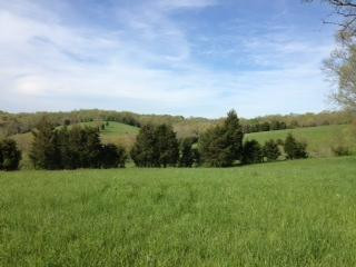 2 Keefer Road Corinth, KY 41010 - Photo 20 of 27