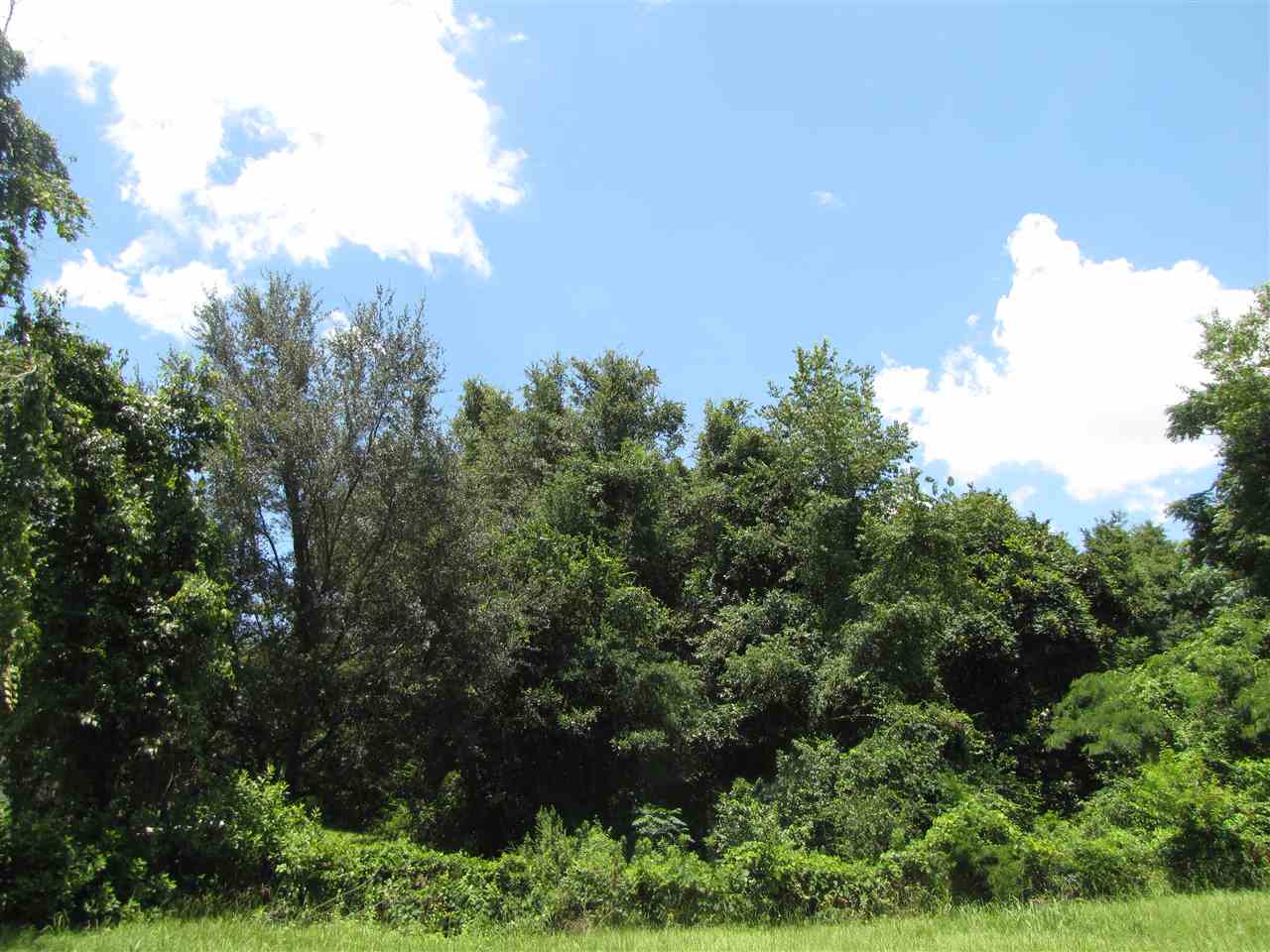 Vacant Southeast Old County Camp Road Madison, FL 32340 - Photo 4 of 11 Gallery Image 4