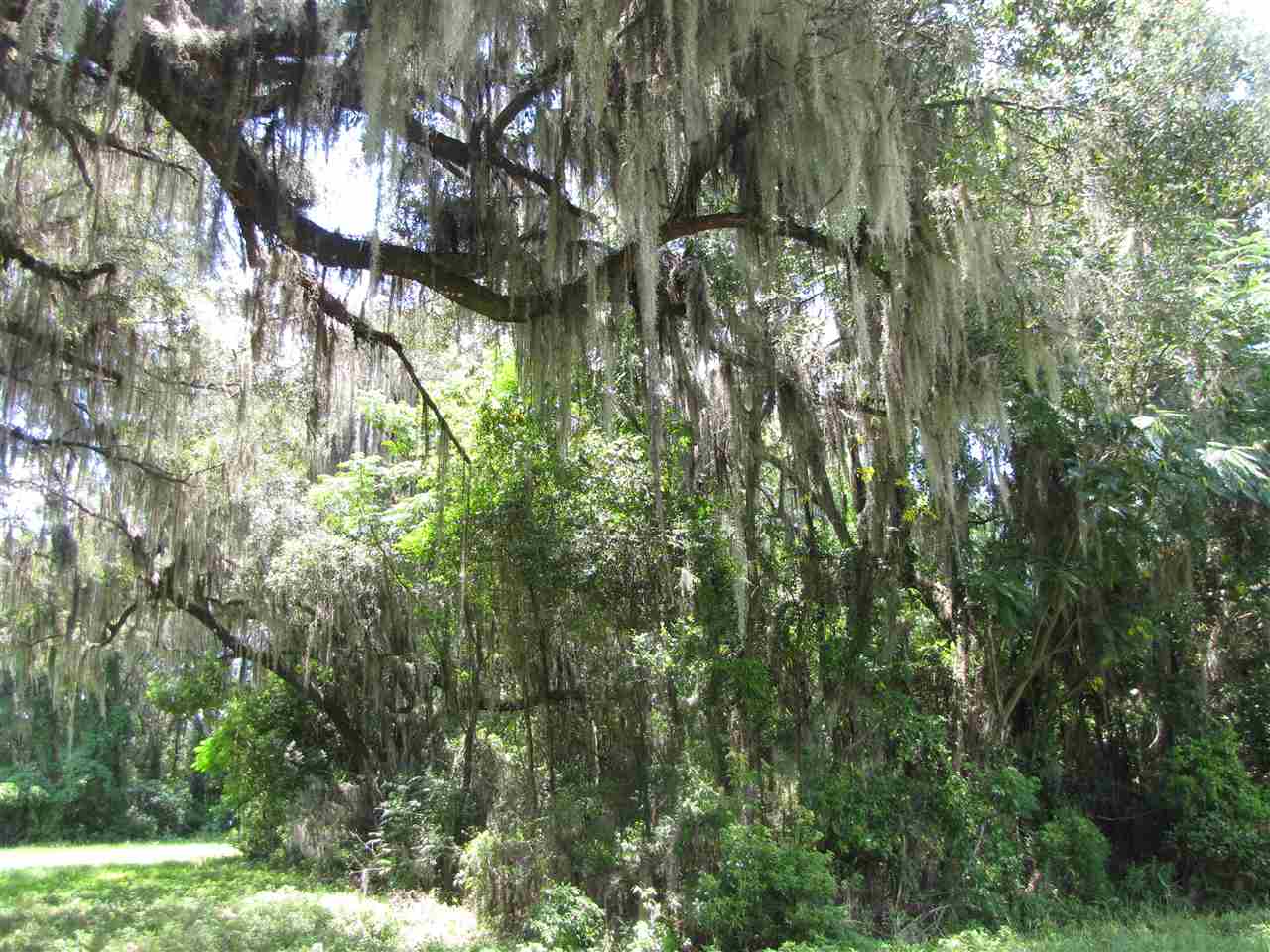 Vacant Southeast Old County Camp Road Madison, FL 32340 - Photo 5 of 11 Gallery Image 5