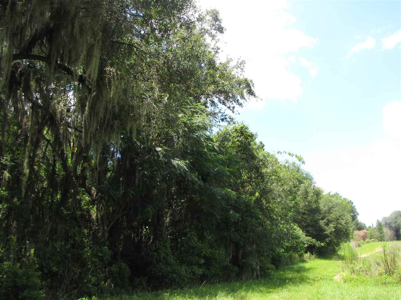 Vacant Southeast Old County Camp Road Madison, FL 32340 - Photo 6 of 11 Gallery Image 6