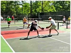 $424,950 | 216 Tinequa Drive, Brevard, NC 28712