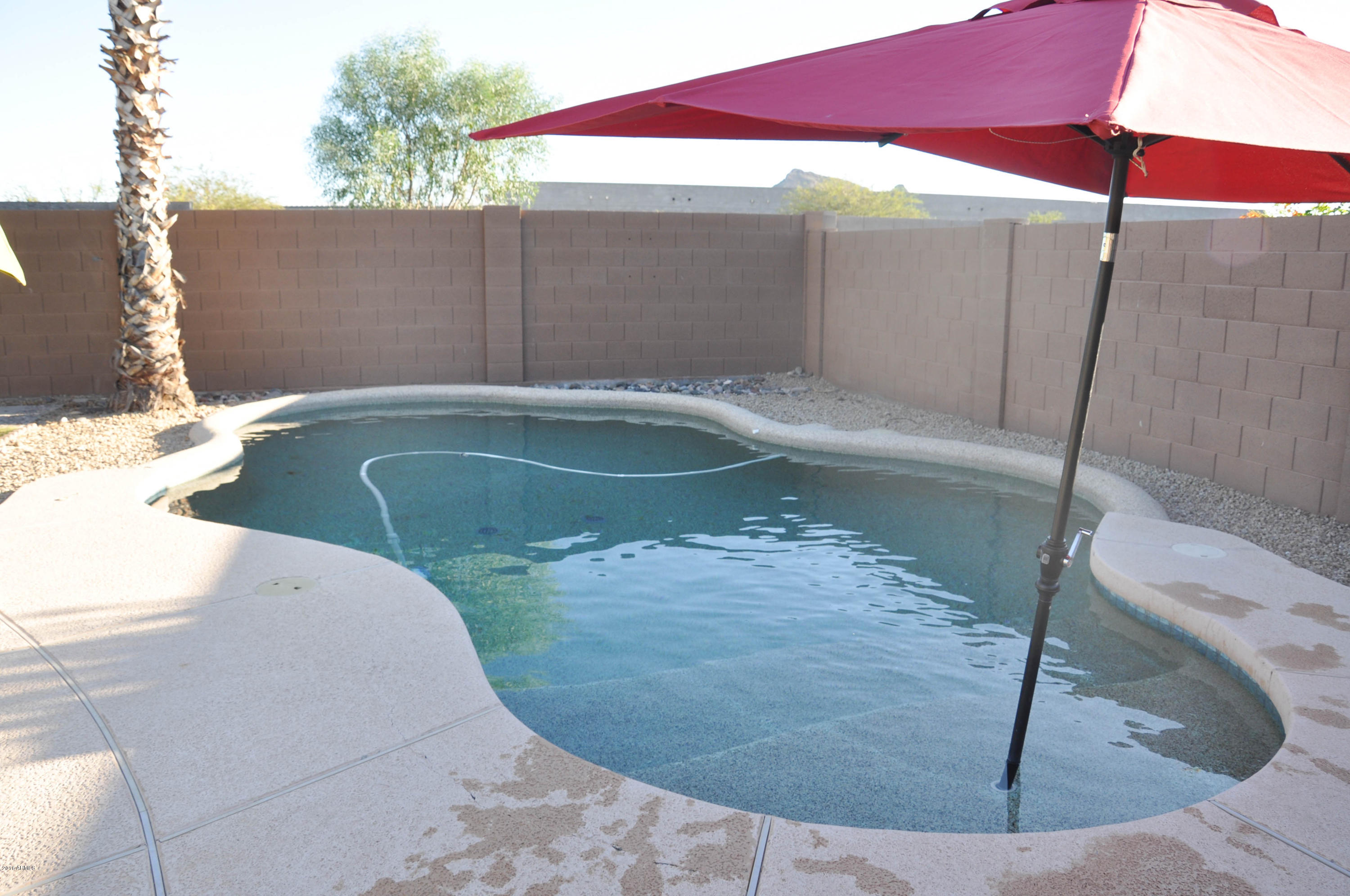 2035 East Danbury Road Phoenix, AZ 85022 - Photo 25 of 26 DSC_0067