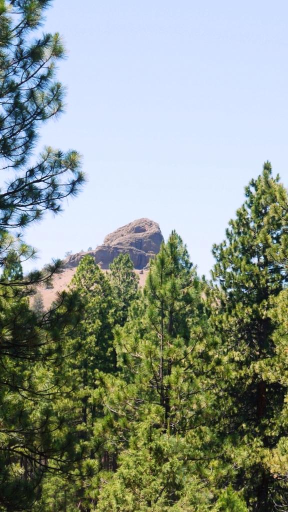 0 Ponina Creek Road Beatty, OR 97621 - Photo 10 of 16 P1200635a