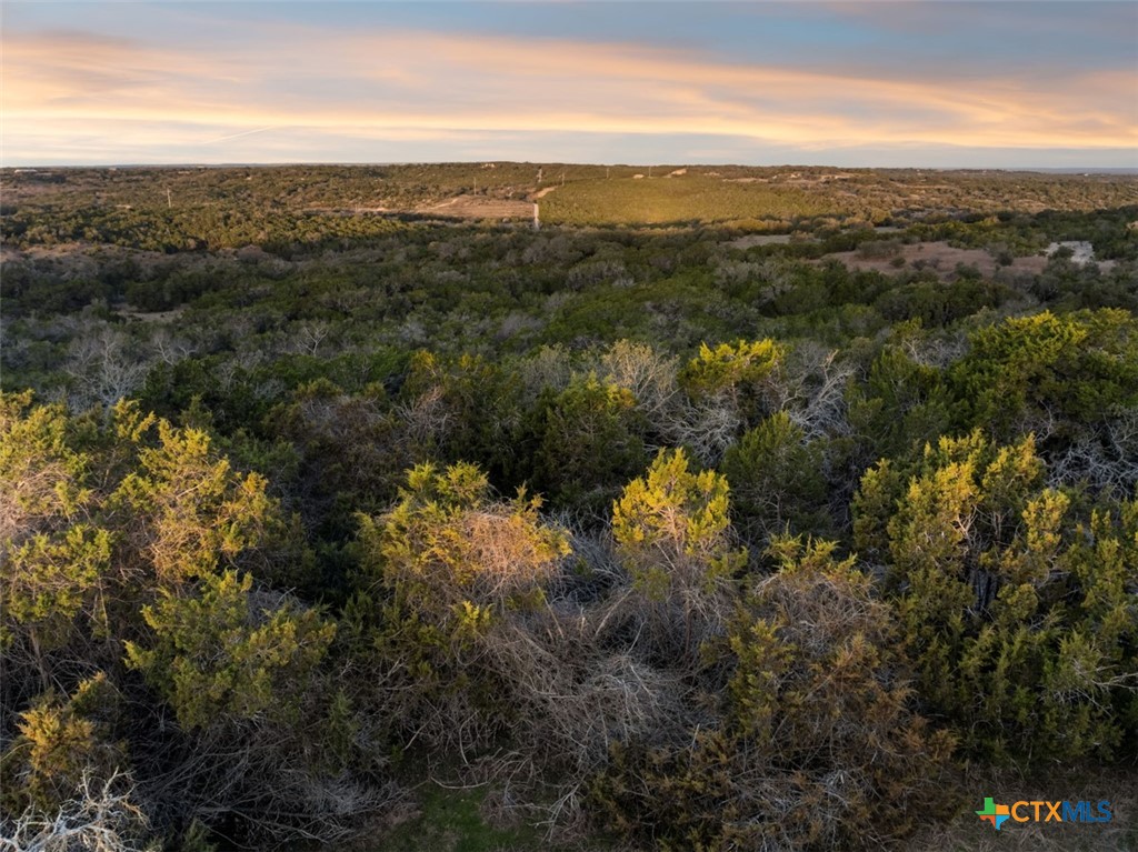 3003 Old Red Ranch Road Johnson City, TX 78636 - Photo 9 of 17 a view of city and mountain