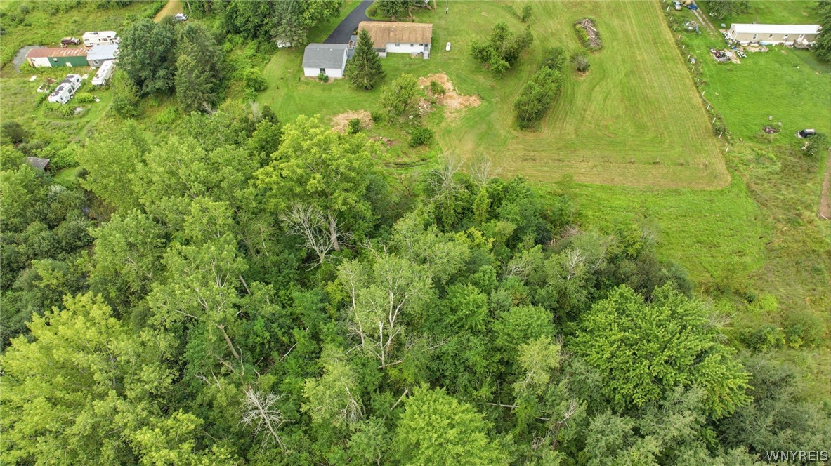 2133 County Line Road Yates, NY 14012 - Photo 44 of 49 Gallery Image 44