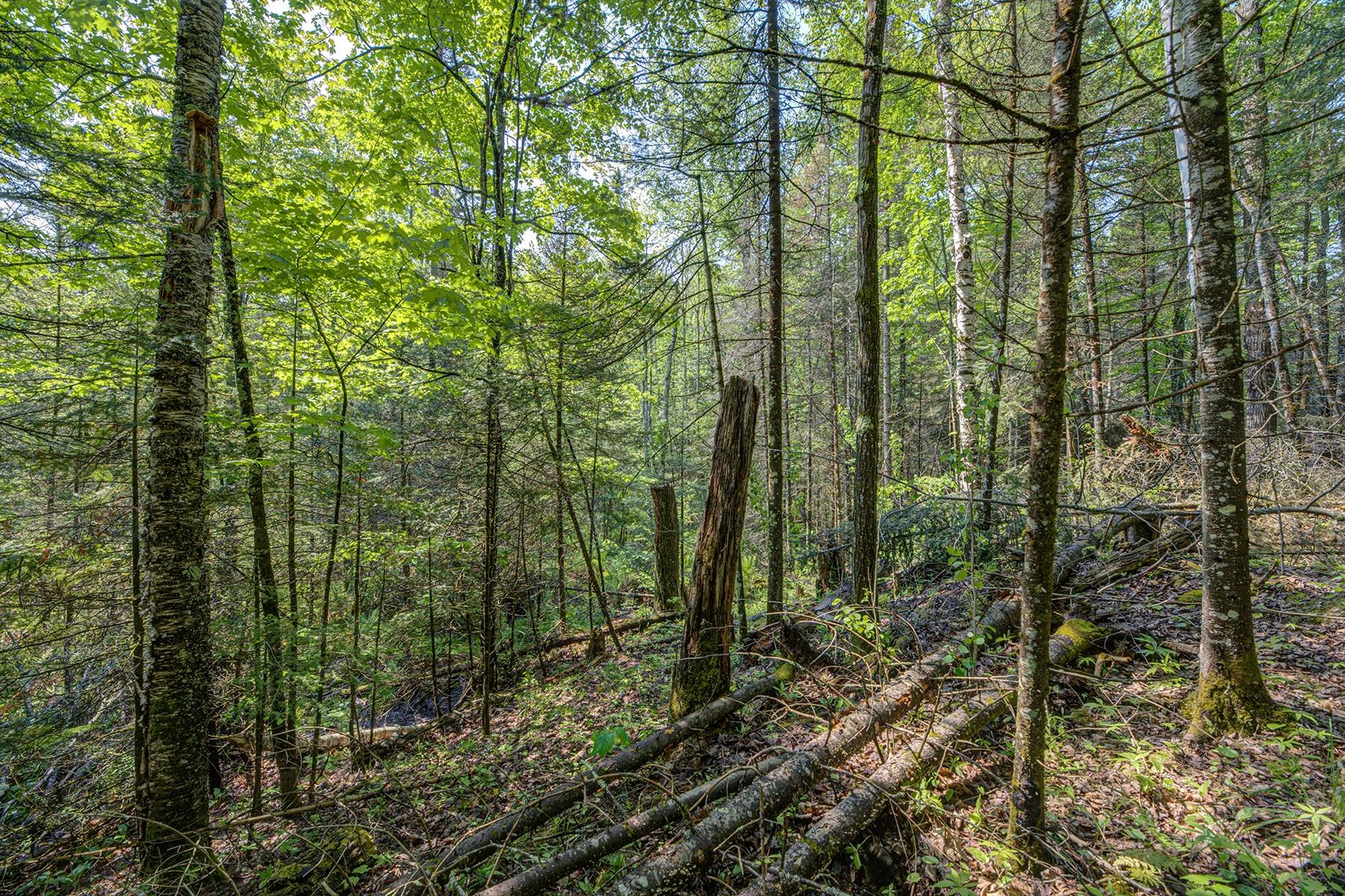Lot 24 Gemstone Road Presque Isle, WI 54557 - Photo 6 of 23 Gallery Image 6