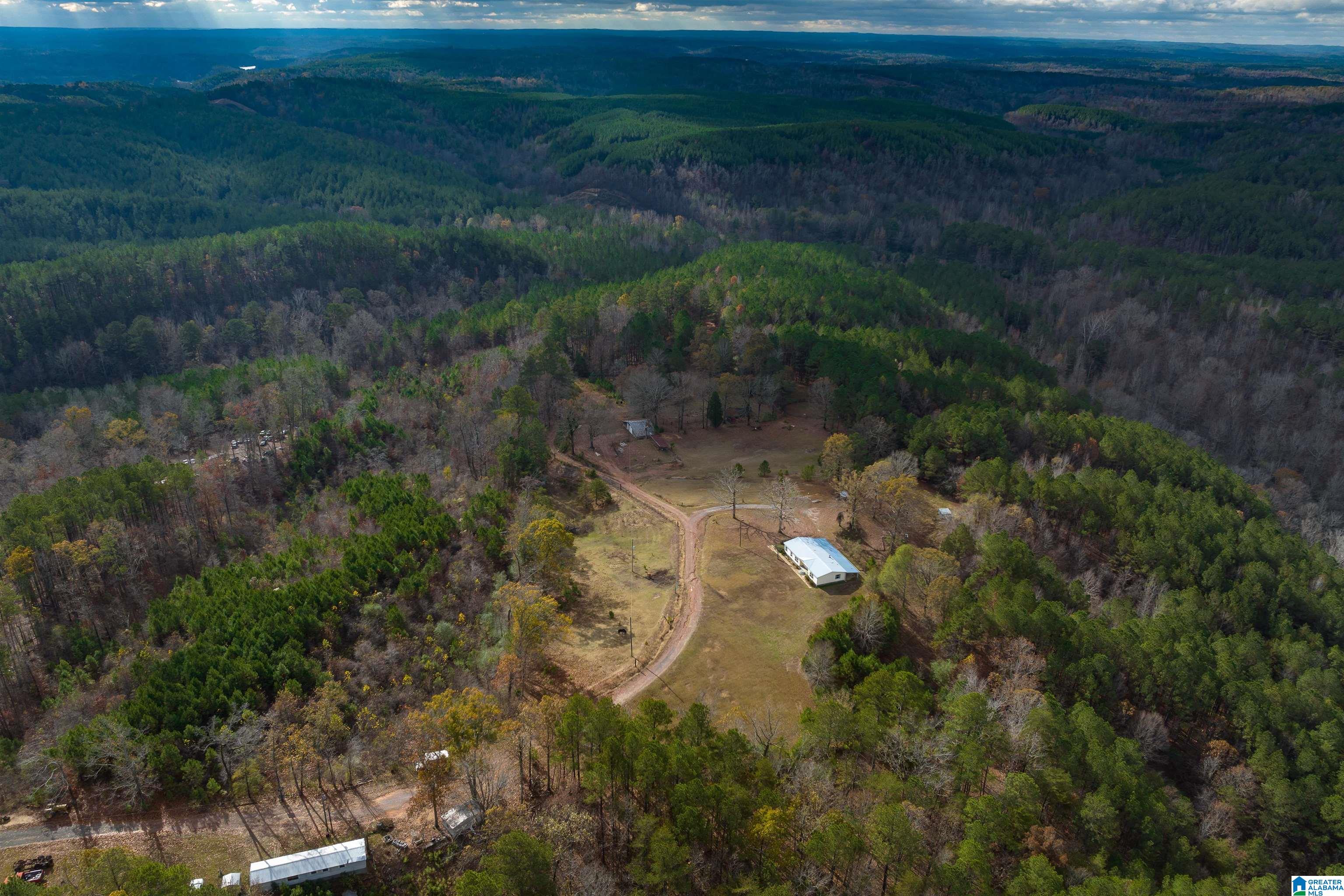 2930 Pridmore Road Quinton, AL 35130 - Photo 25 of 46