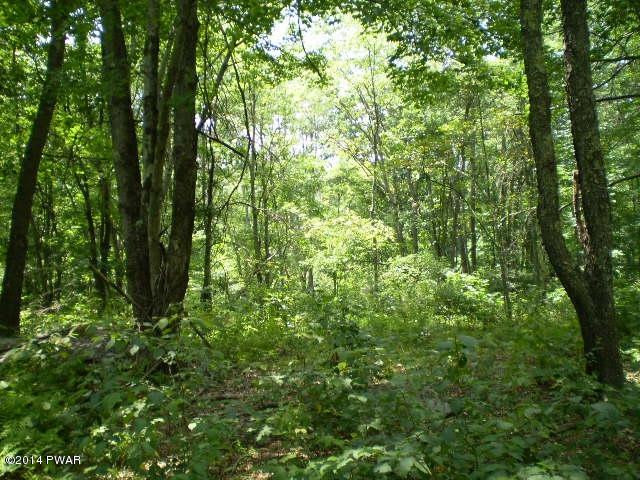7.6 Humphrey Road Middletown, NY 10940 - Photo 4 of 6