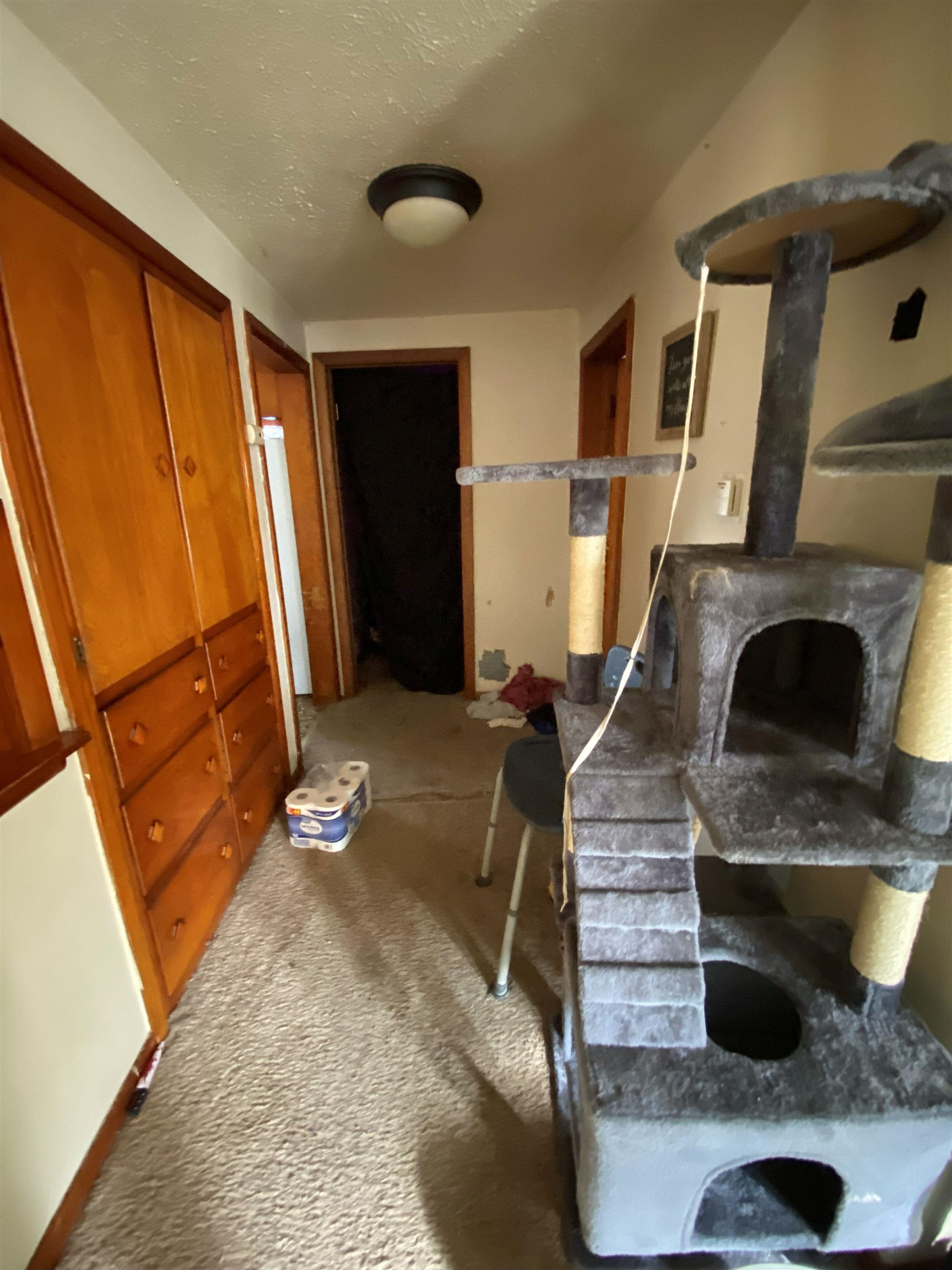611 West Locust Street Belvidere, IL 61008 - Photo 30 of 39 a living room with furniture and a fireplace