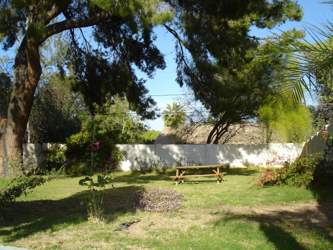 1307 West Lawrence Road Phoenix, AZ 85013 - Photo 12 of 14 Backyard- no shortage of sun or shade!