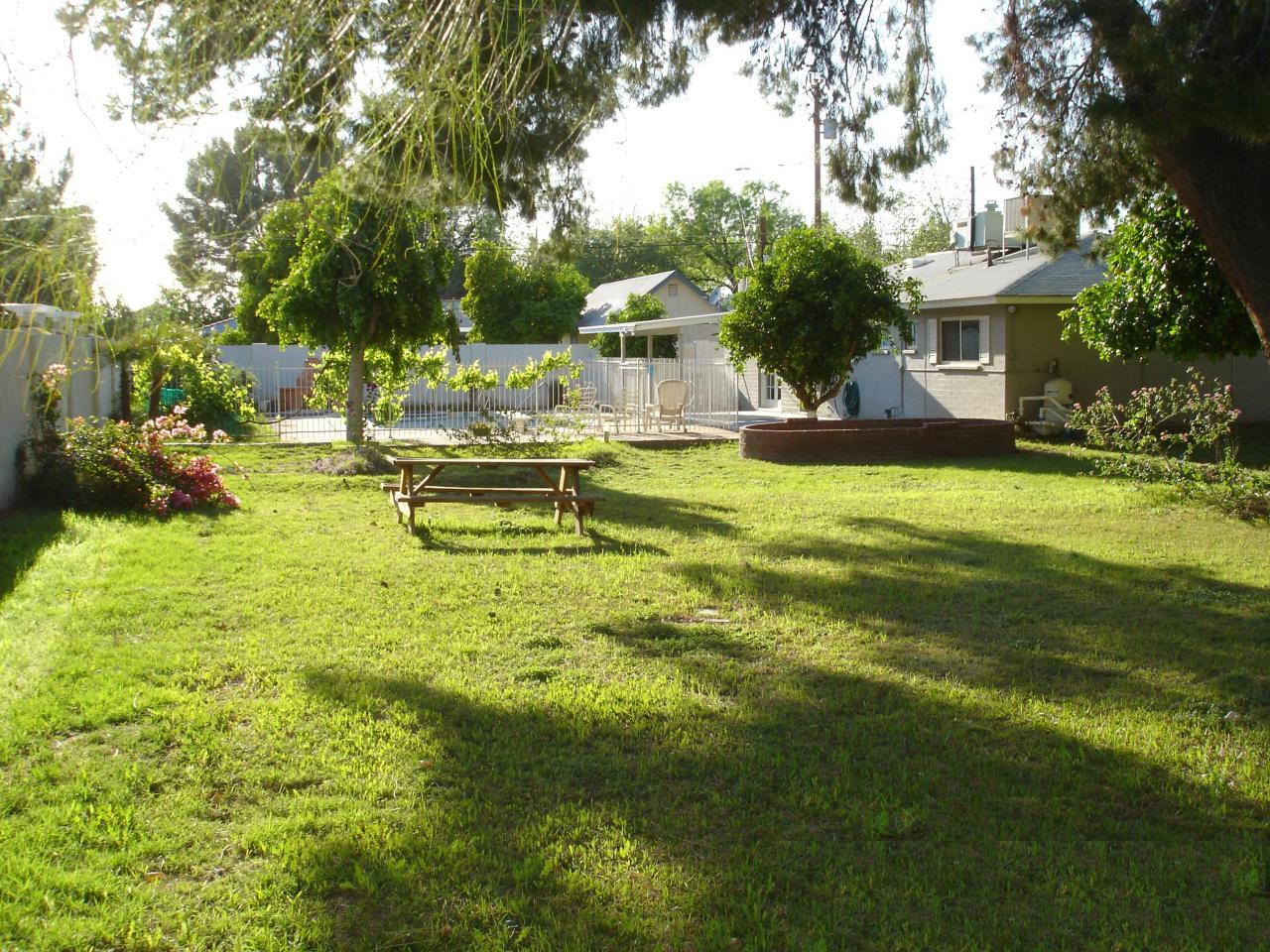 1307 West Lawrence Road Phoenix, AZ 85013 - Photo 13 of 14 Backyard- see grapevine on gate!