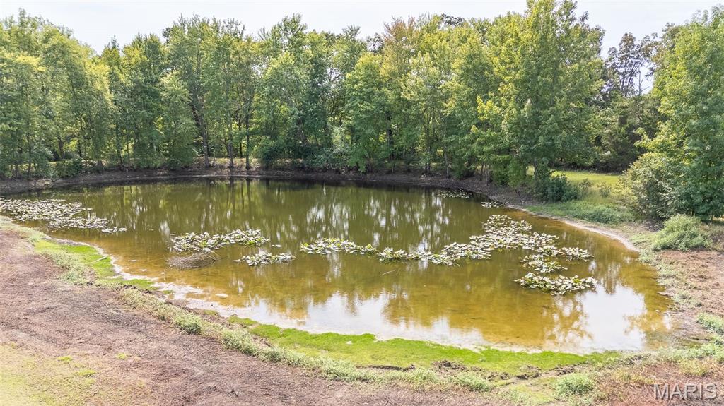 2163 Township Line Road Poplar Bluff, MO 63901 - Photo 79 of 84