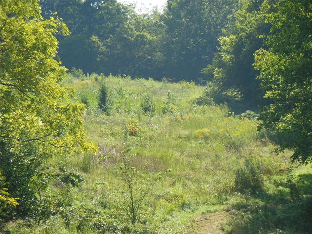 2815 Ewell Elliott Road Springfield, TN 37172 - Photo 2 of 6 a view of a yard