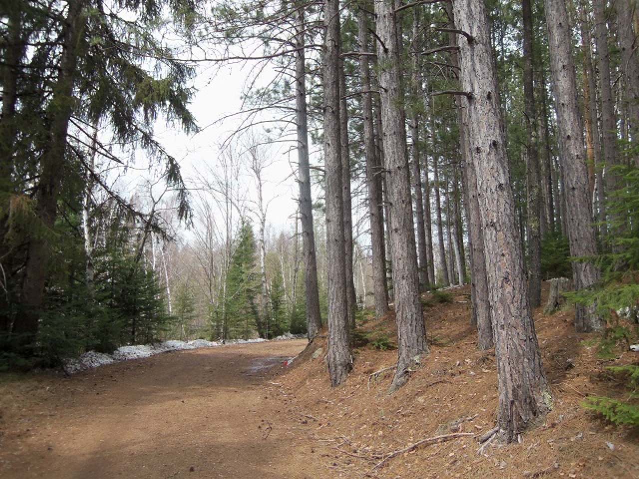 Lot B Jones Road Mercer, WI 54547 - Photo 6 of 13 Gallery Image 6