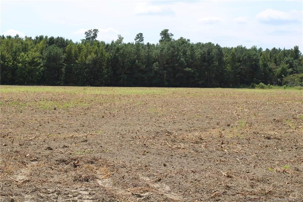 1868 Blakely Road Salters, SC 29590 - Photo 1 of 2 a view of a yard