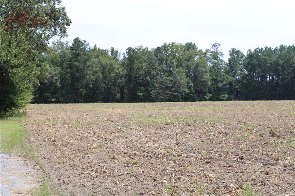 1868 Blakely Road Salters, SC 29590 - Photo 2 of 2 a view of house with a yard