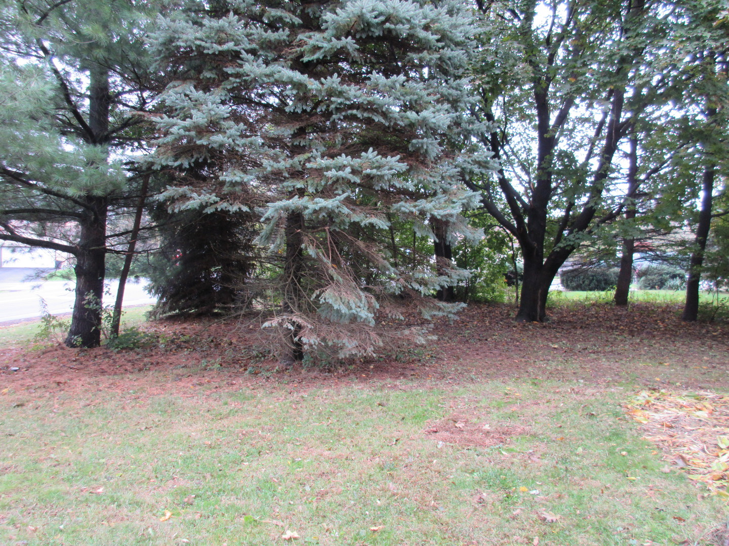 2601 Crystal Lake Road Cary, IL 60013 - Photo 17 of 19 Gallery Image 17
