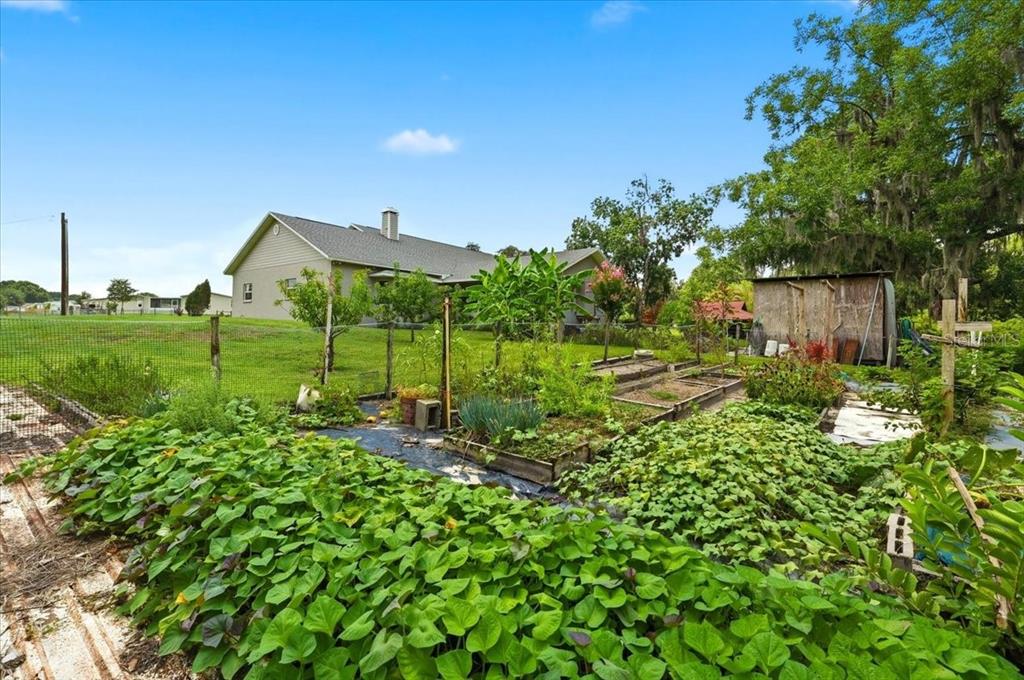 8404 Mathews Road Lakeland, FL 33809 - Photo 58 of 72 Gallery Image 58