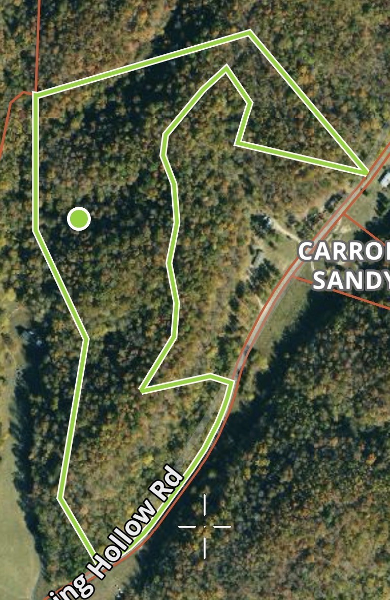 0 Downing Hollow Road Waynesboro, TN 38485 - Photo 27 of 29