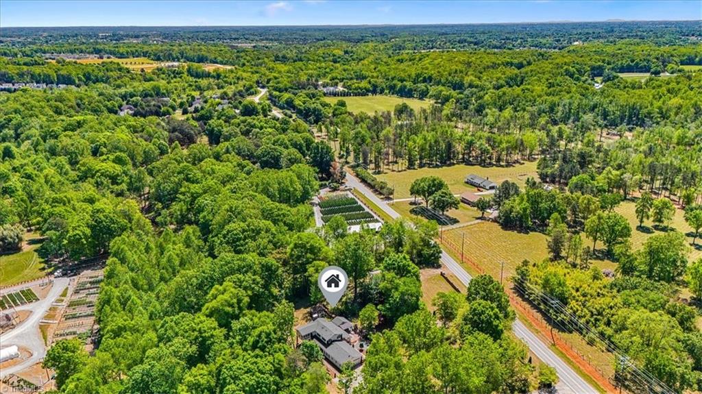 1861 Sandy Ridge Road Colfax, NC 27235 - Photo 46 of 47