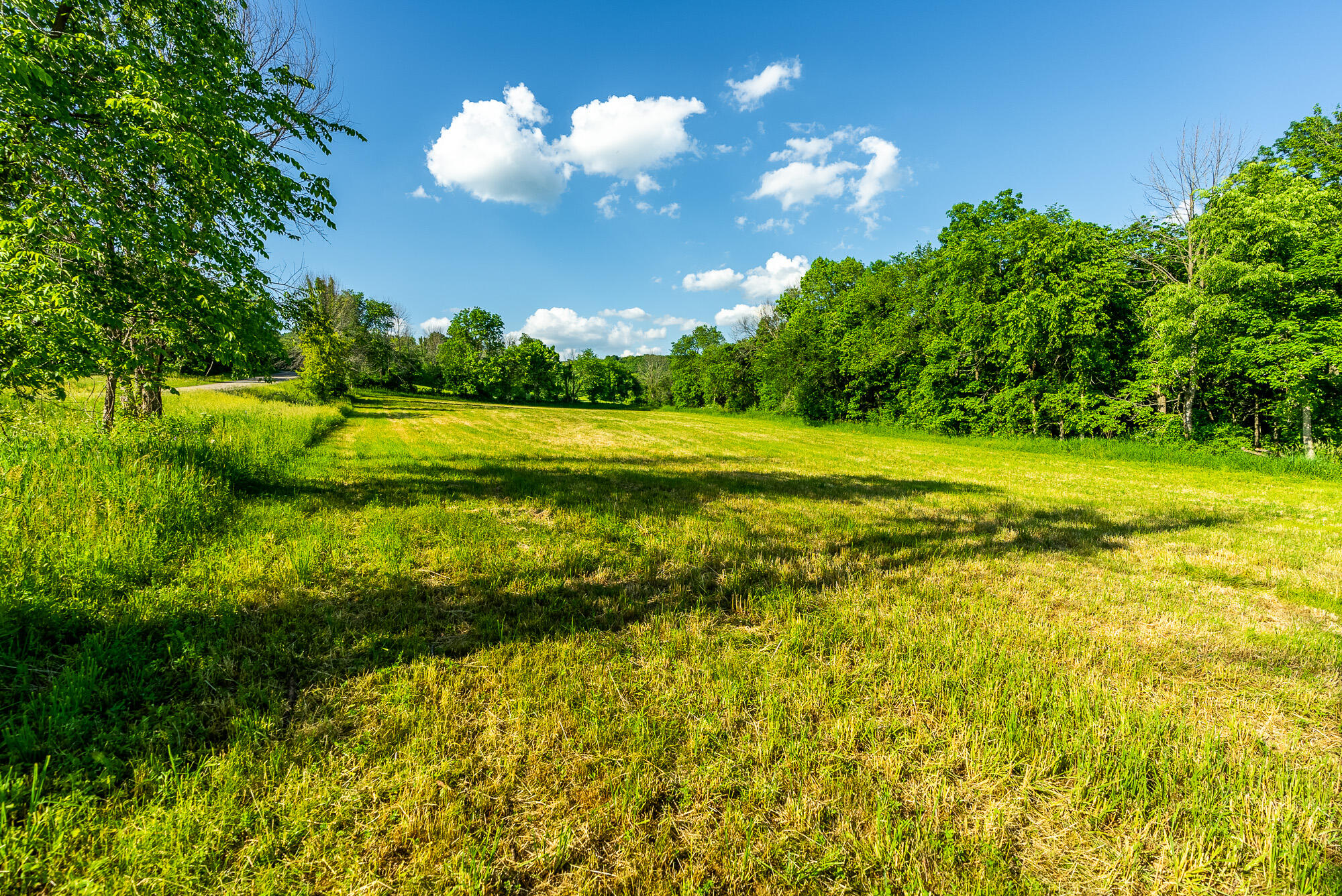 Lt0 Denzer Road North Freedom, WI 53951 - Photo 10 of 68 Sauk-County-WI-54-Acres-Land-For-Sale-10