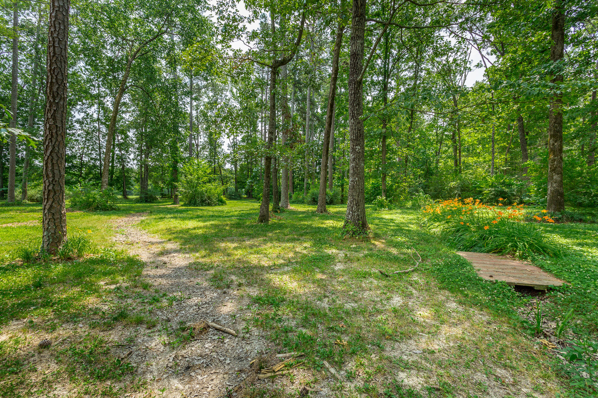 385 Armstrong Road Cleveland, TN 37323 - Photo 6 of 41 385 Armstrong Road-51