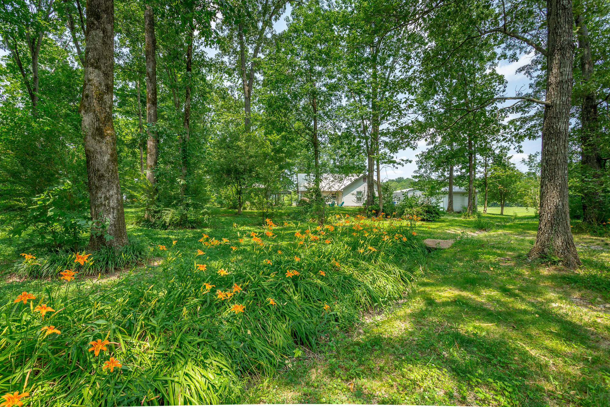 385 Armstrong Road Cleveland, TN 37323 - Photo 7 of 41 385 Armstrong Road-53