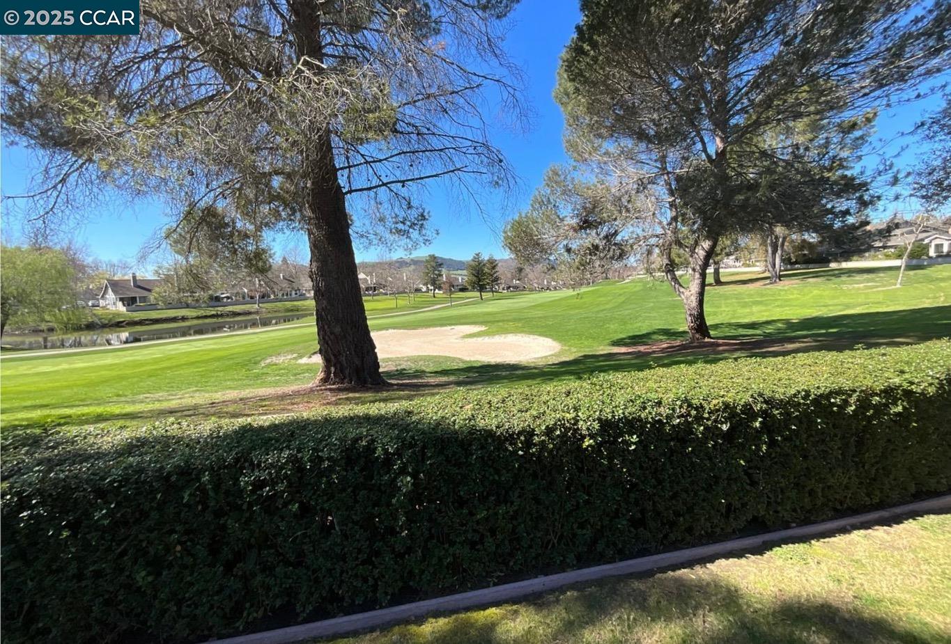 785 St George Road Danville, CA 94526 - Photo 1 of 1 a view of a garden with an trees